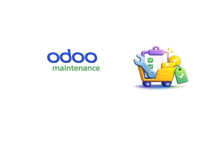 Odoo Maintenance