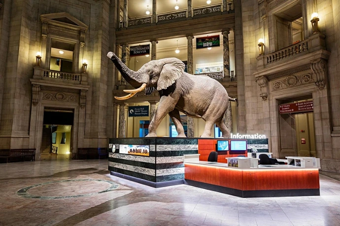 Museum ERP Software for Smarter Museum Management
